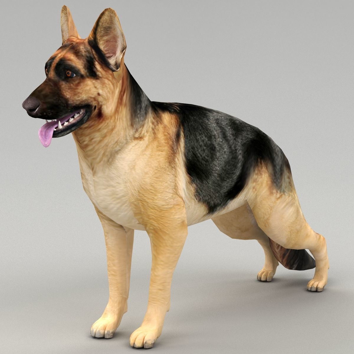 GSD DOG  Low-poly 3D model_3