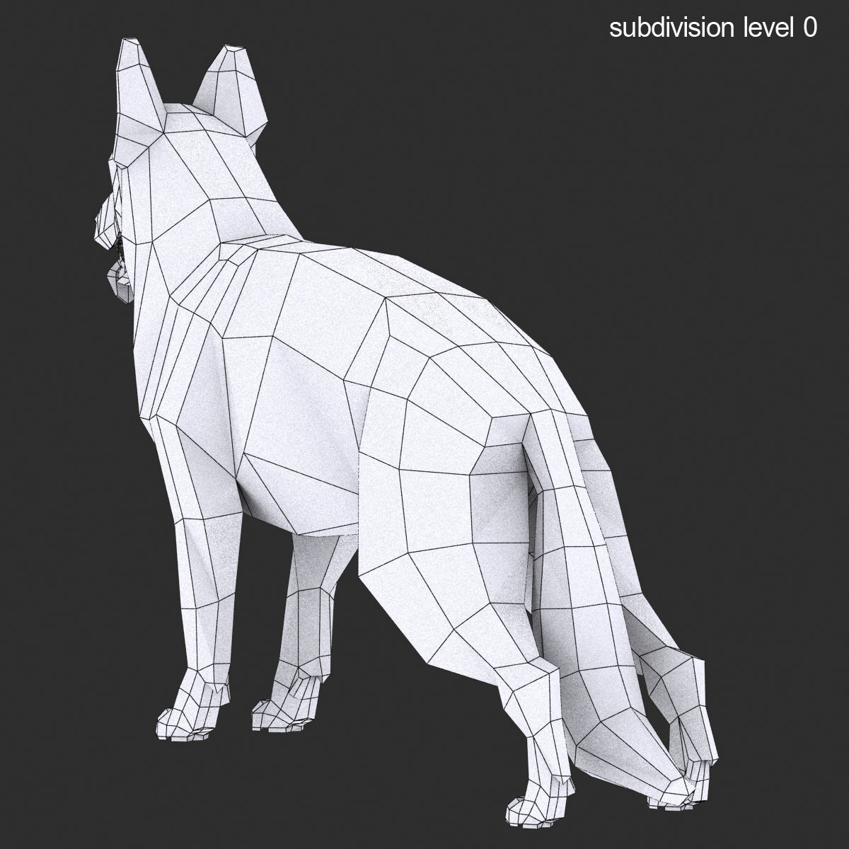 GSD DOG  Low-poly 3D model_12