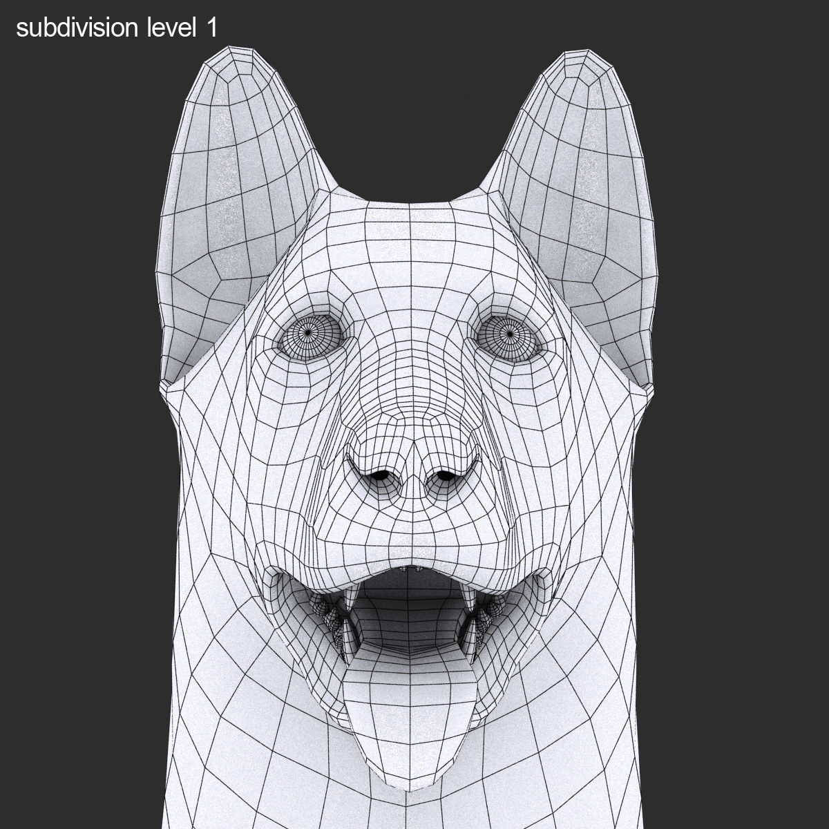 GSD DOG  Low-poly 3D model_11