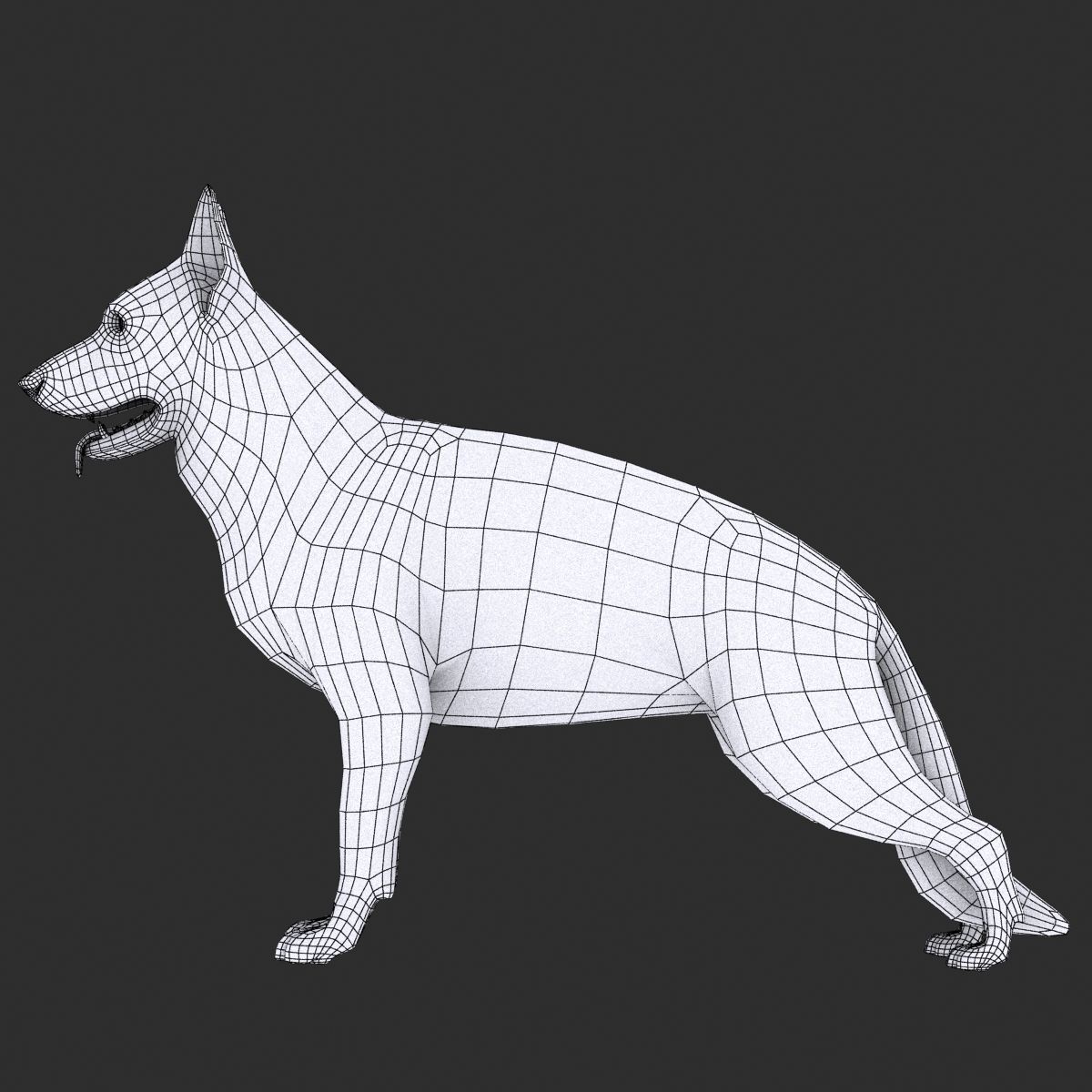 GSD DOG  Low-poly 3D model_14
