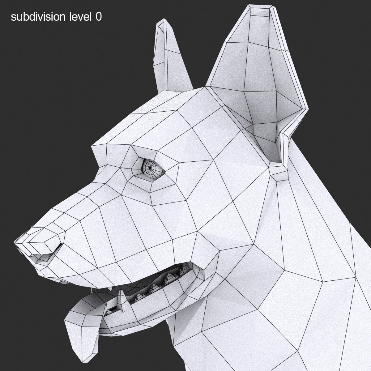GSD DOG  Low-poly 3D model_8