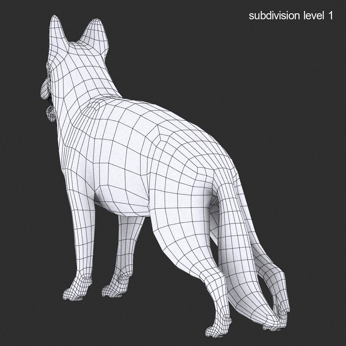 GSD DOG  Low-poly 3D model_13