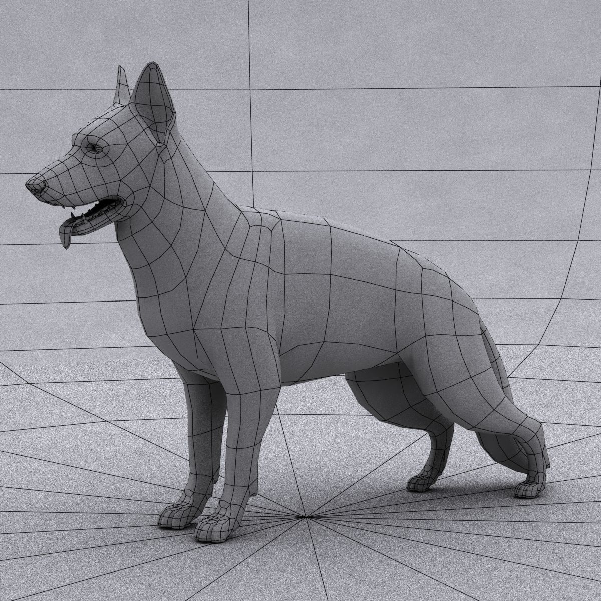 Rigged Dog 3D model_14