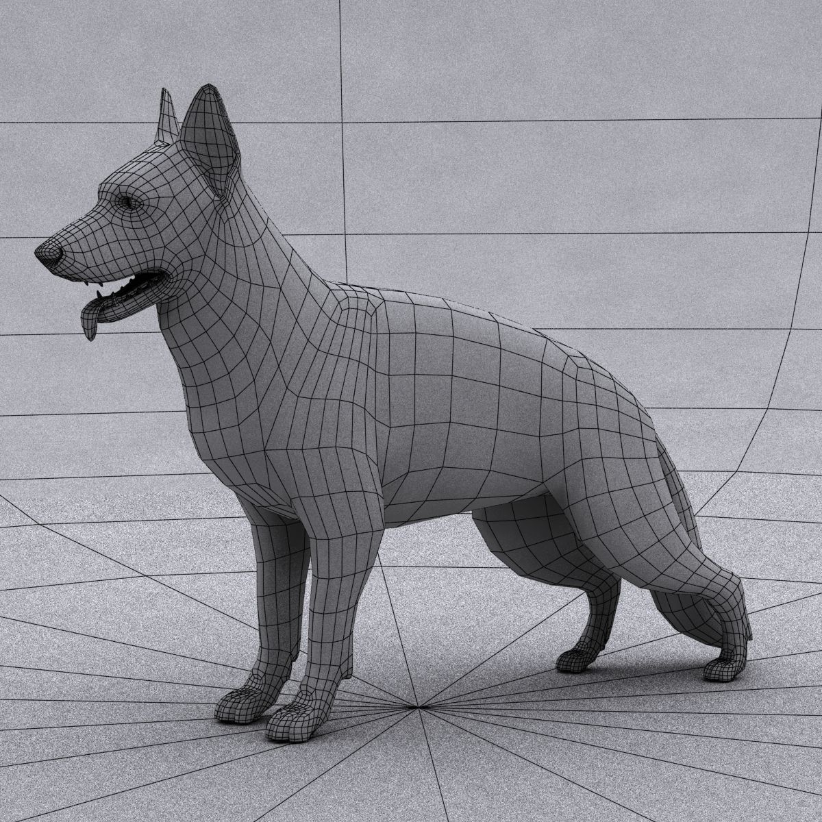 Rigged Dog 3D model_15