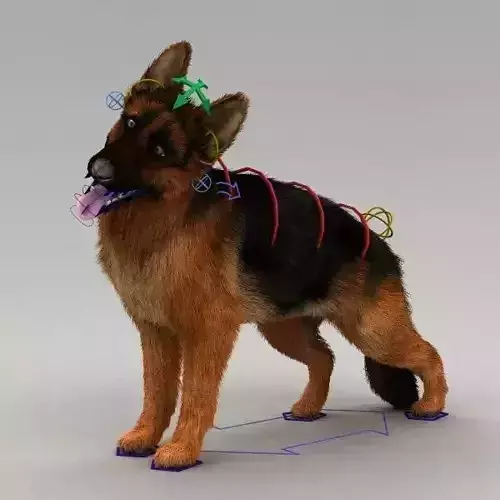 Rigged Dog 3D model