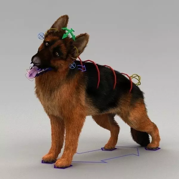 Rigged Dog 3D model_0