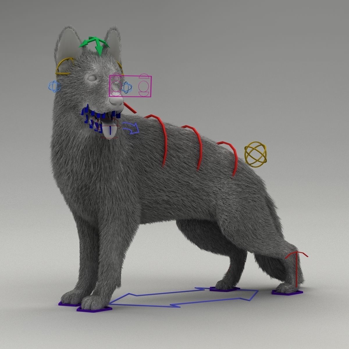 Rigged Dog 3D model_2