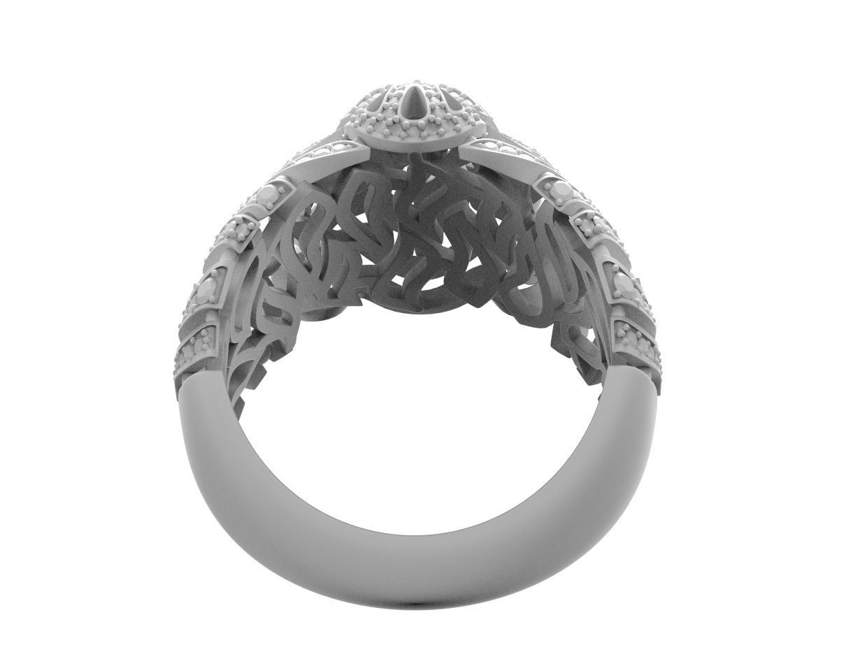 180730 R Big Cat ring 3D print model_2