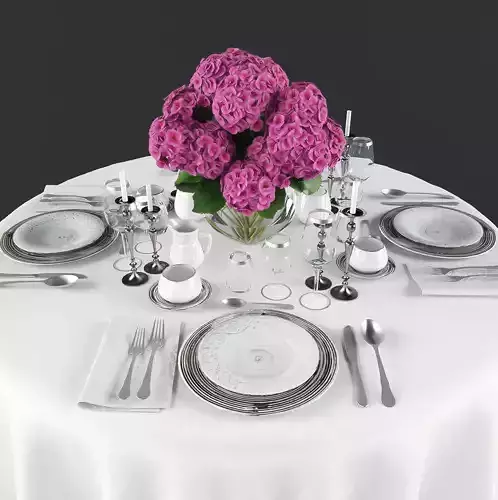 Dining table with table setting 3d models Low-poly 3D model