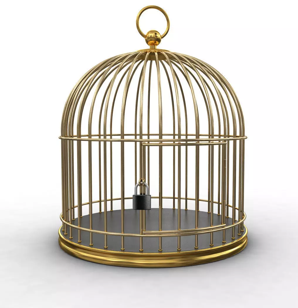 Golden Cage 3D model 3D model_0