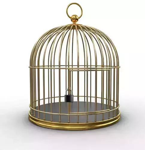 Golden Cage 3D model 3D model