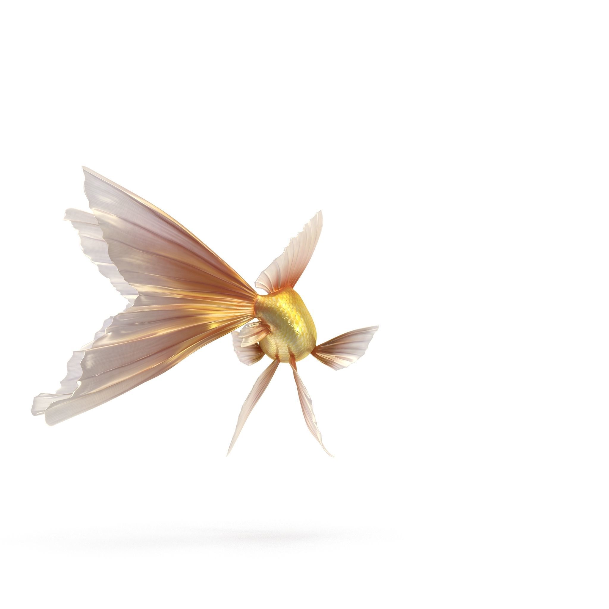 Fantasy Gold Fish rig Low-poly 3D model_8