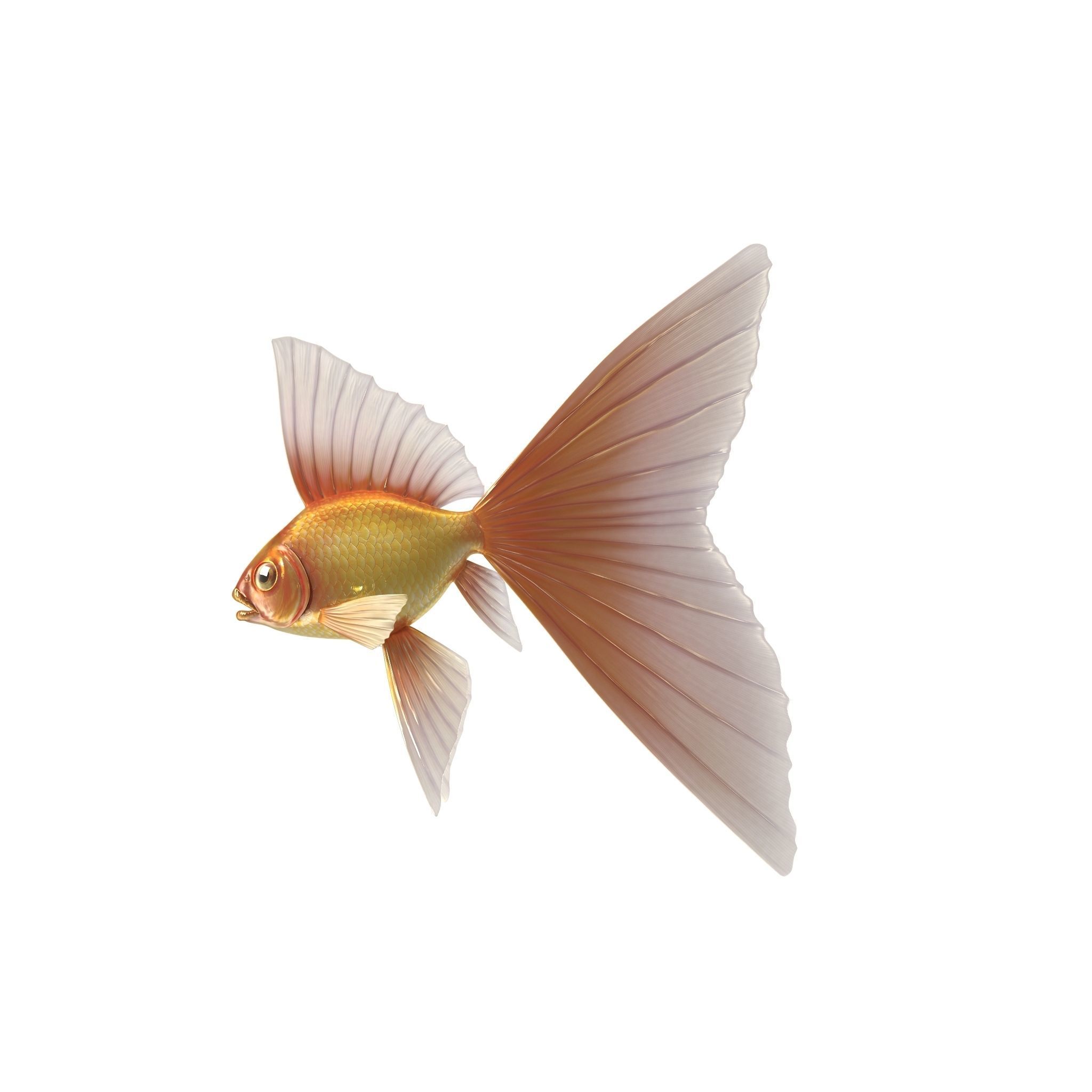 Fantasy Gold Fish rig Low-poly 3D model_14