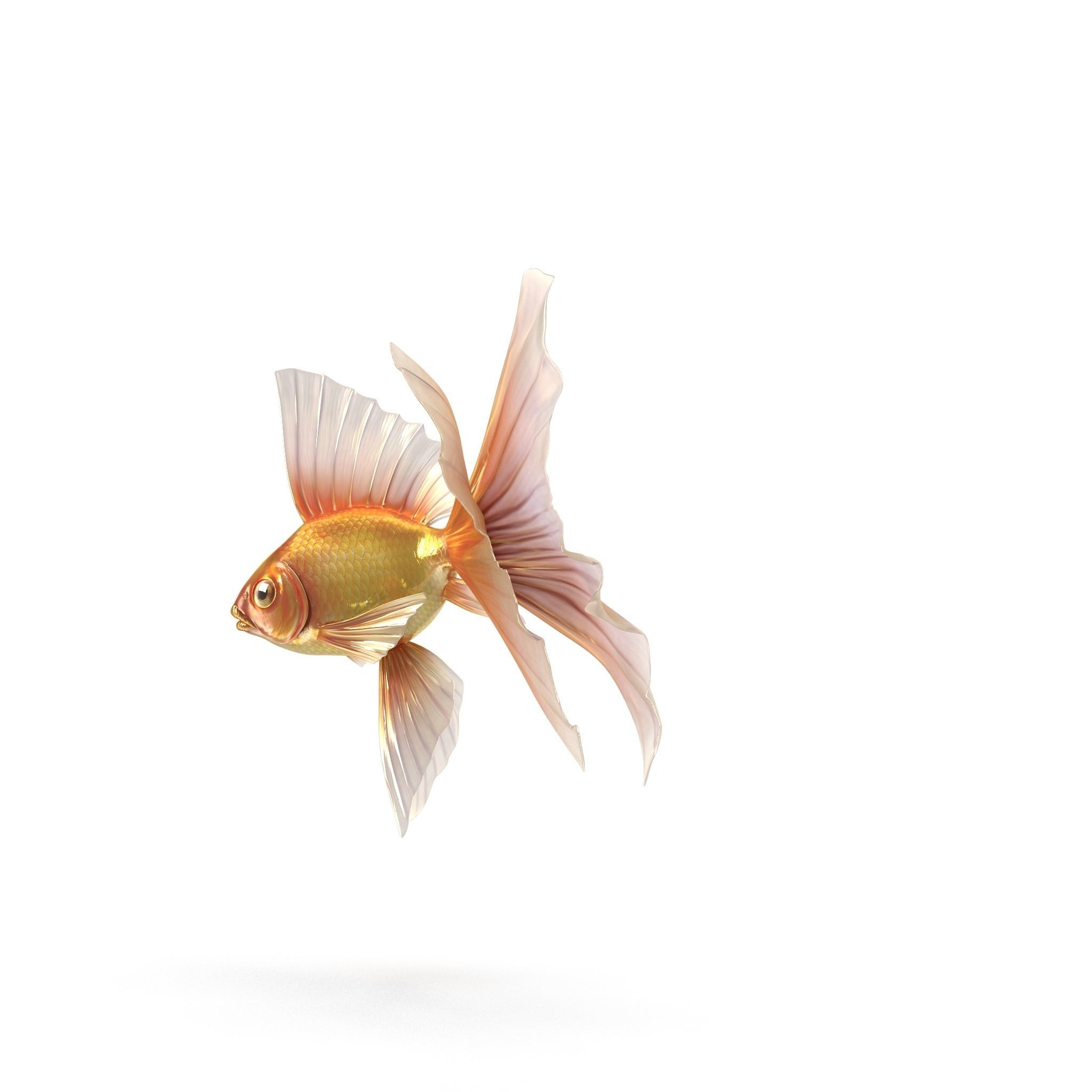 Fantasy Gold Fish rig Low-poly 3D model_3
