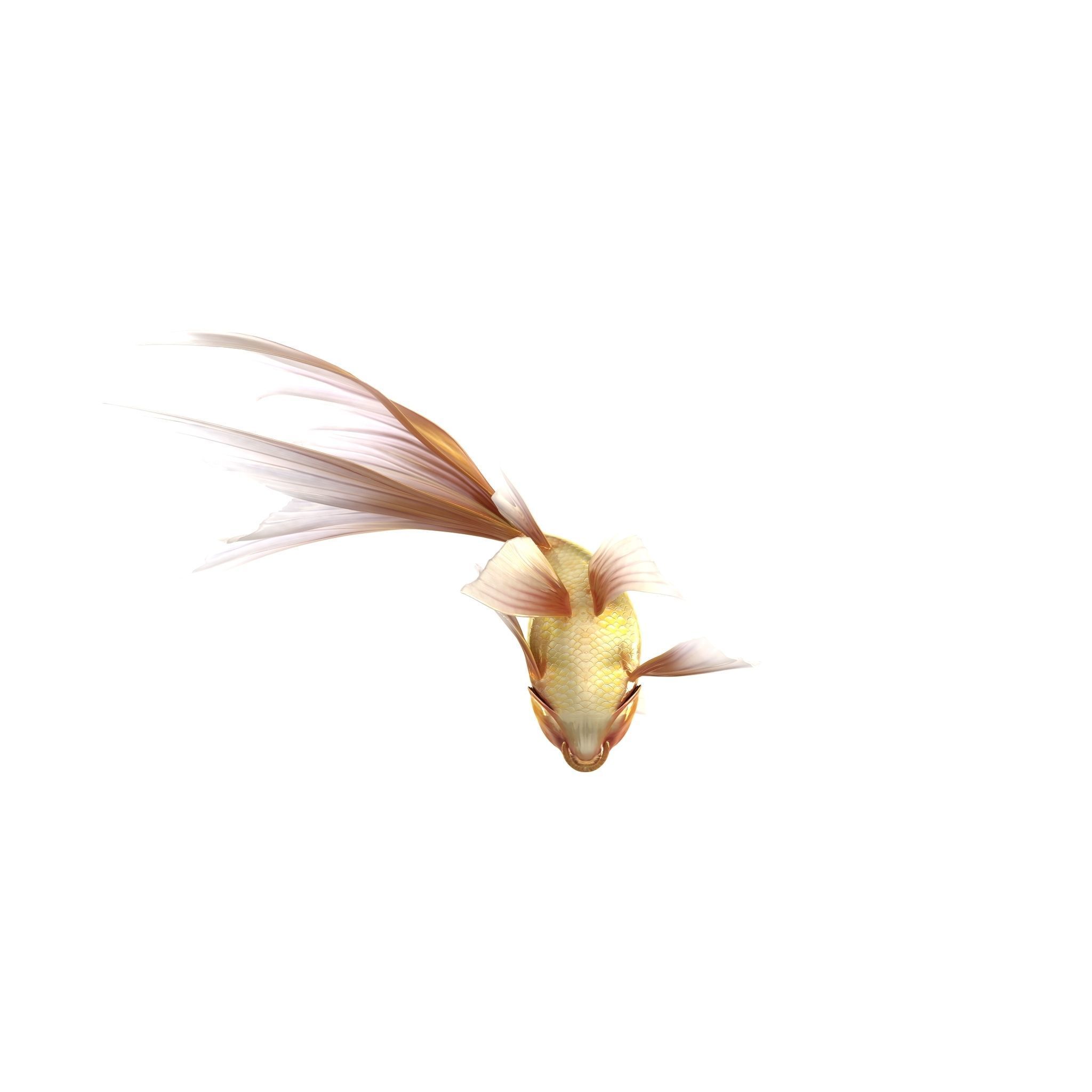Fantasy Gold Fish rig Low-poly 3D model_4