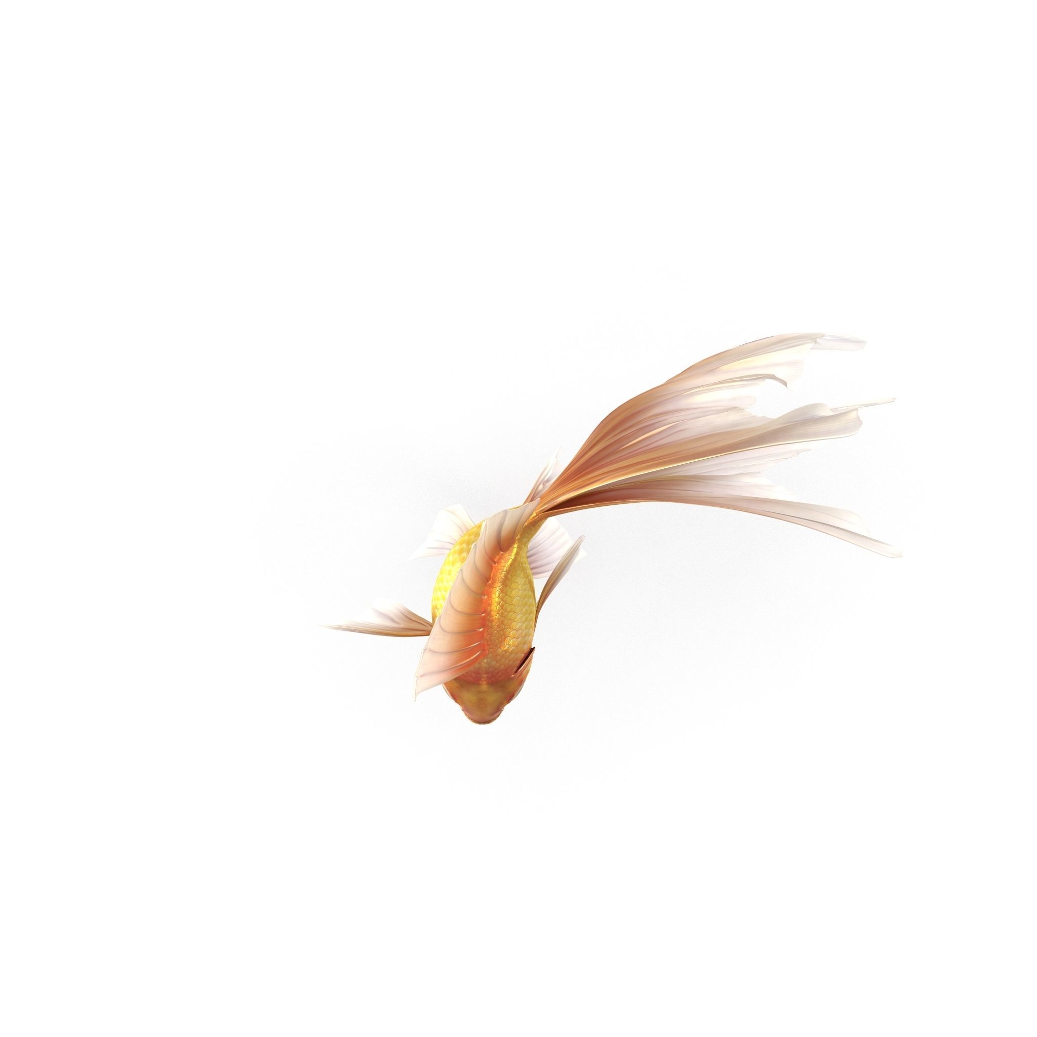 Fantasy Gold Fish rig Low-poly 3D model_7
