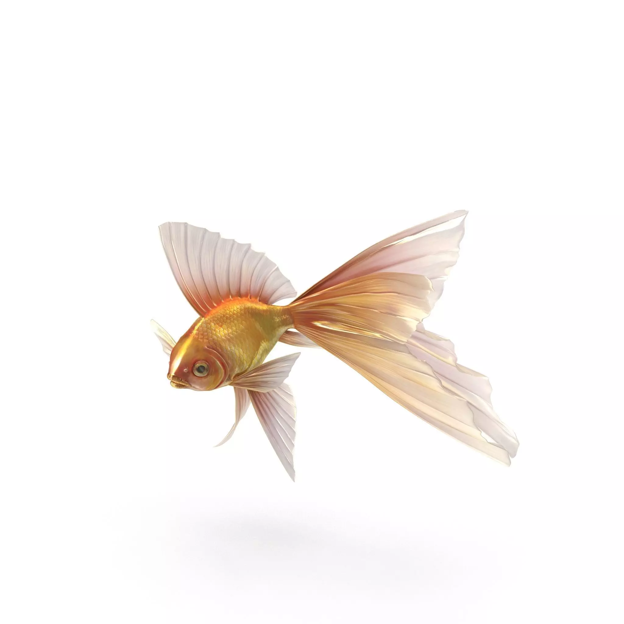 Fantasy Gold Fish rig Low-poly 3D model_0