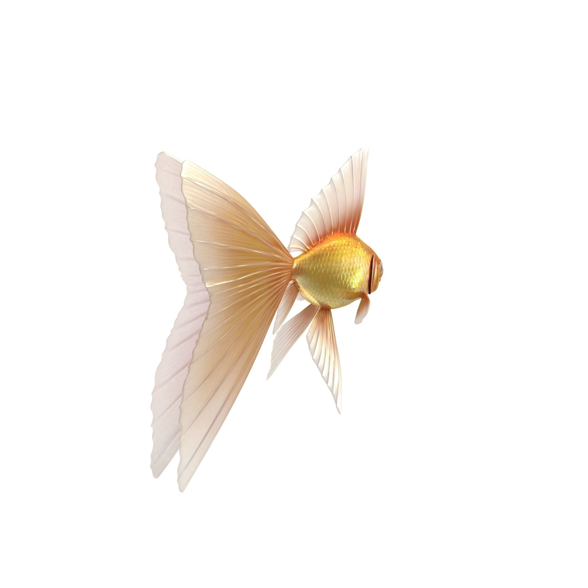 Fantasy Gold Fish rig Low-poly 3D model_6