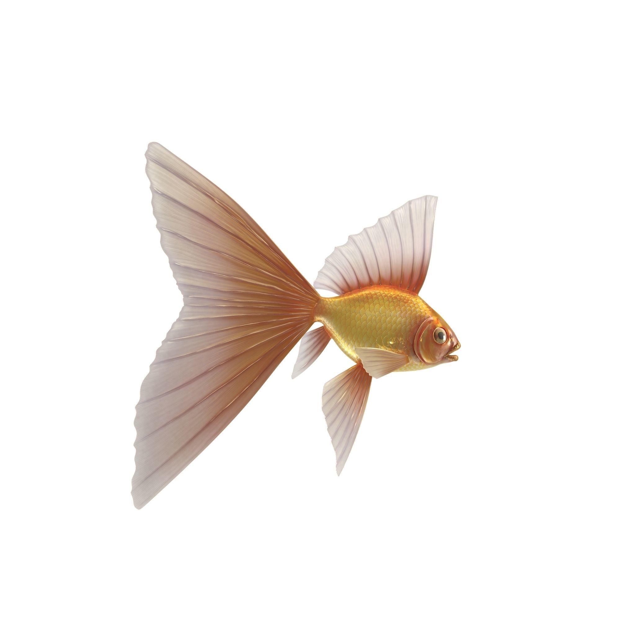 Fantasy Gold Fish rig Low-poly 3D model_12
