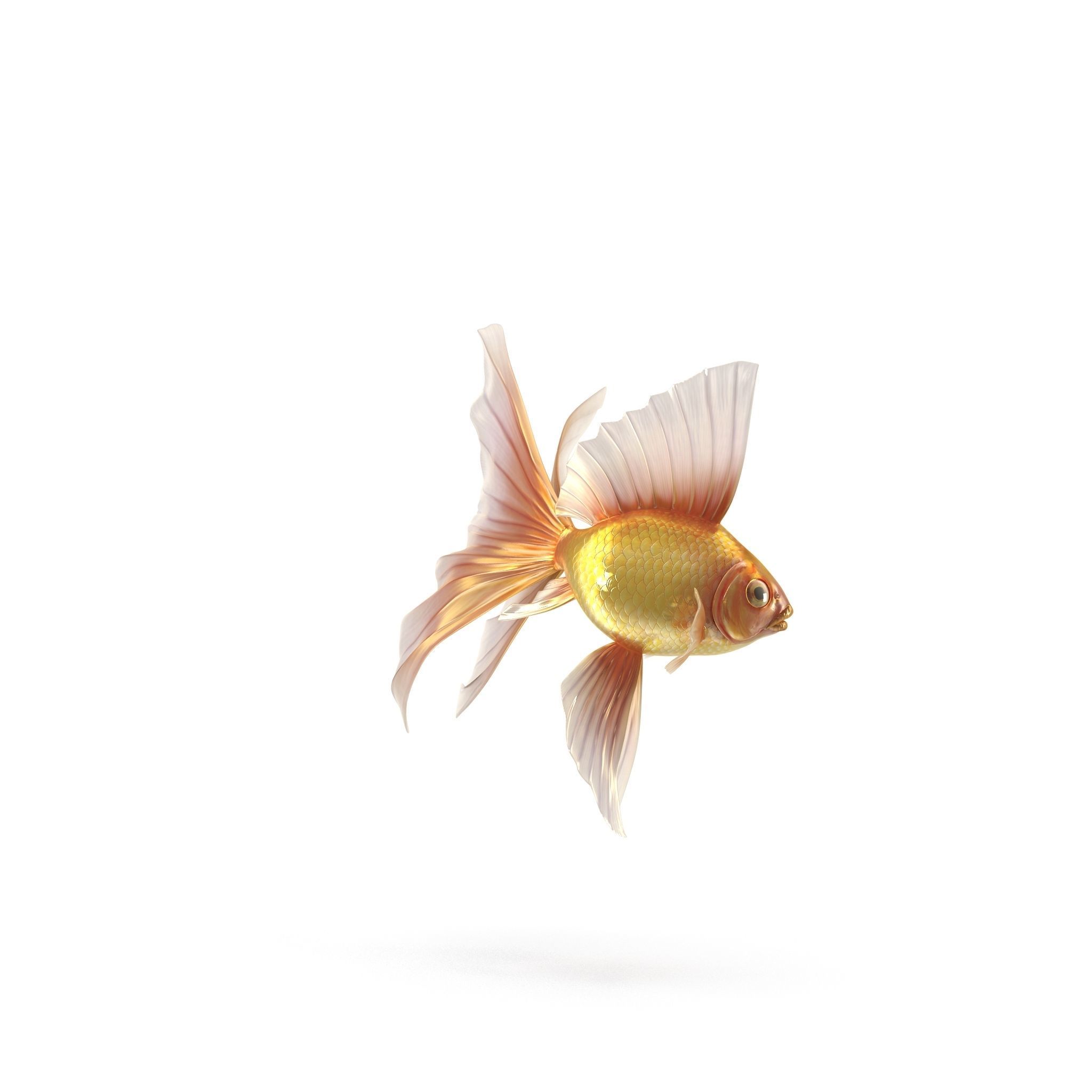 Fantasy Gold Fish rig Low-poly 3D model_9