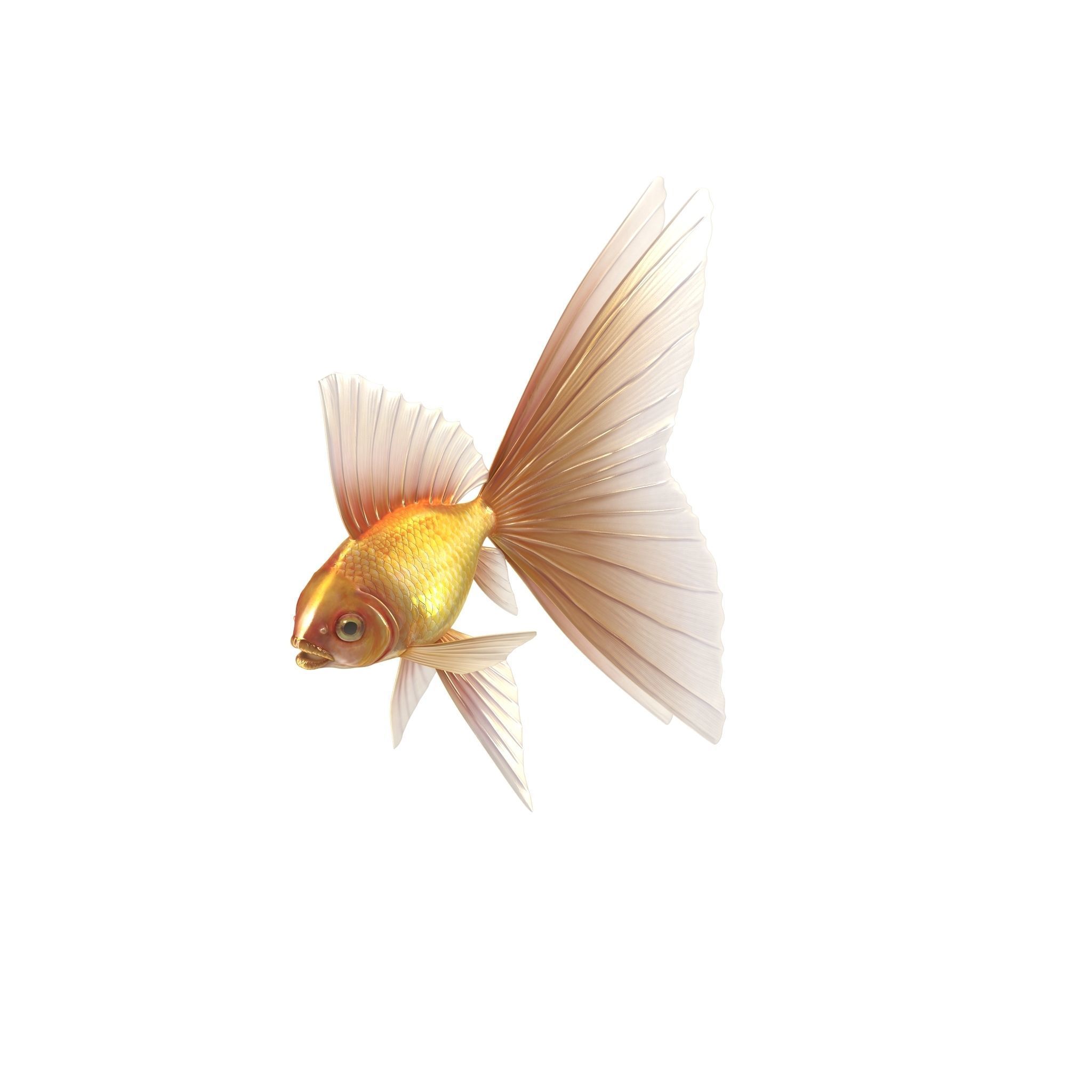 Fantasy Gold Fish Low-poly 3D model_4