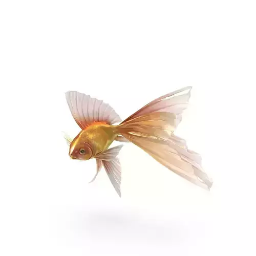 Fantasy Gold Fish Low-poly 3D model