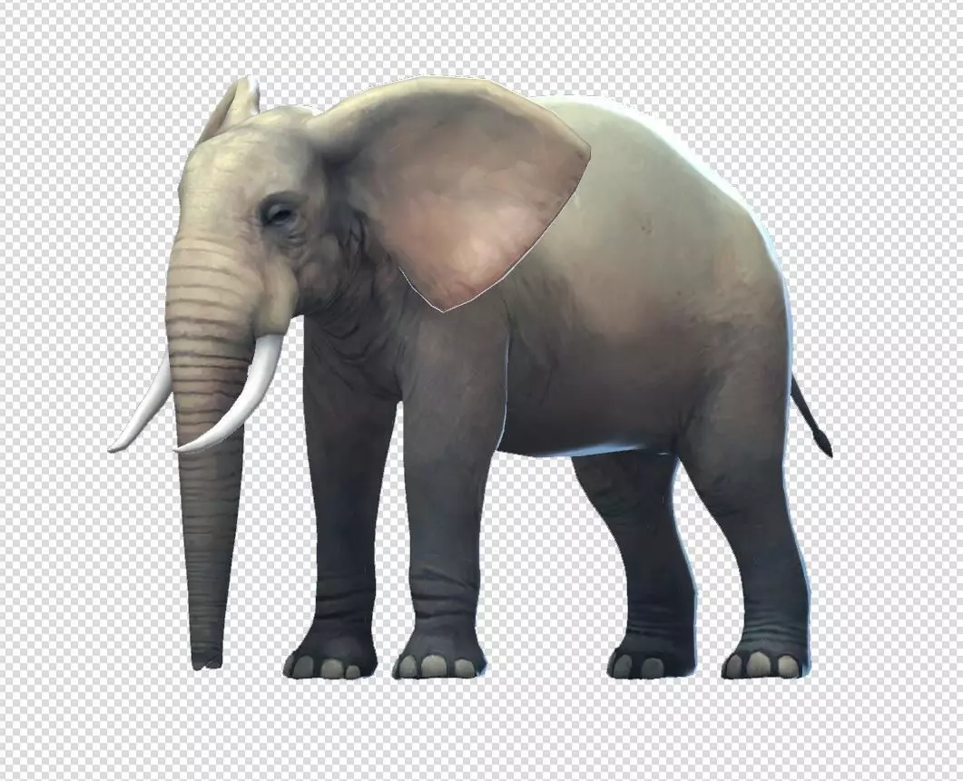 Elephas elephant Low-poly 3D model