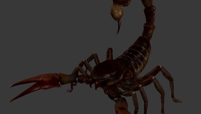 Scorpion Low-poly 3D model