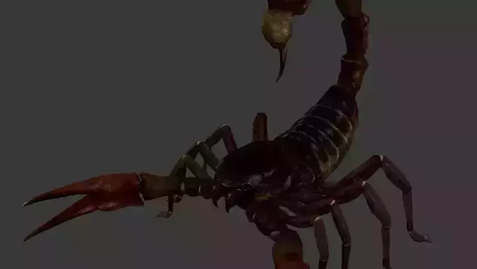Scorpion Low-poly 3D model