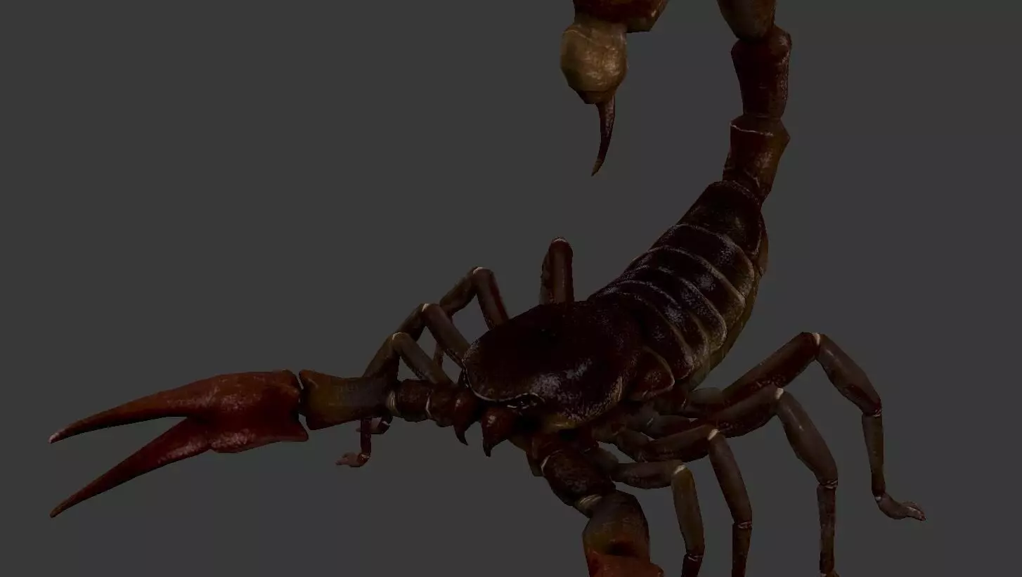 Scorpion Low-poly 3D model_0