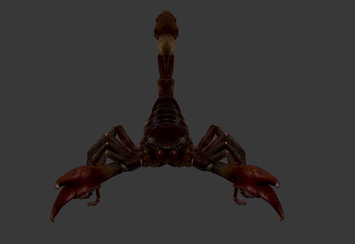 Scorpion Low-poly 3D model_2