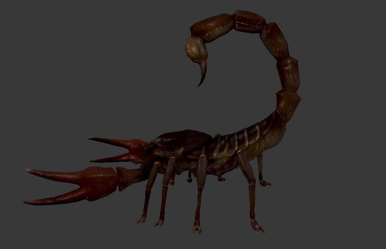 Scorpion Low-poly 3D model_3