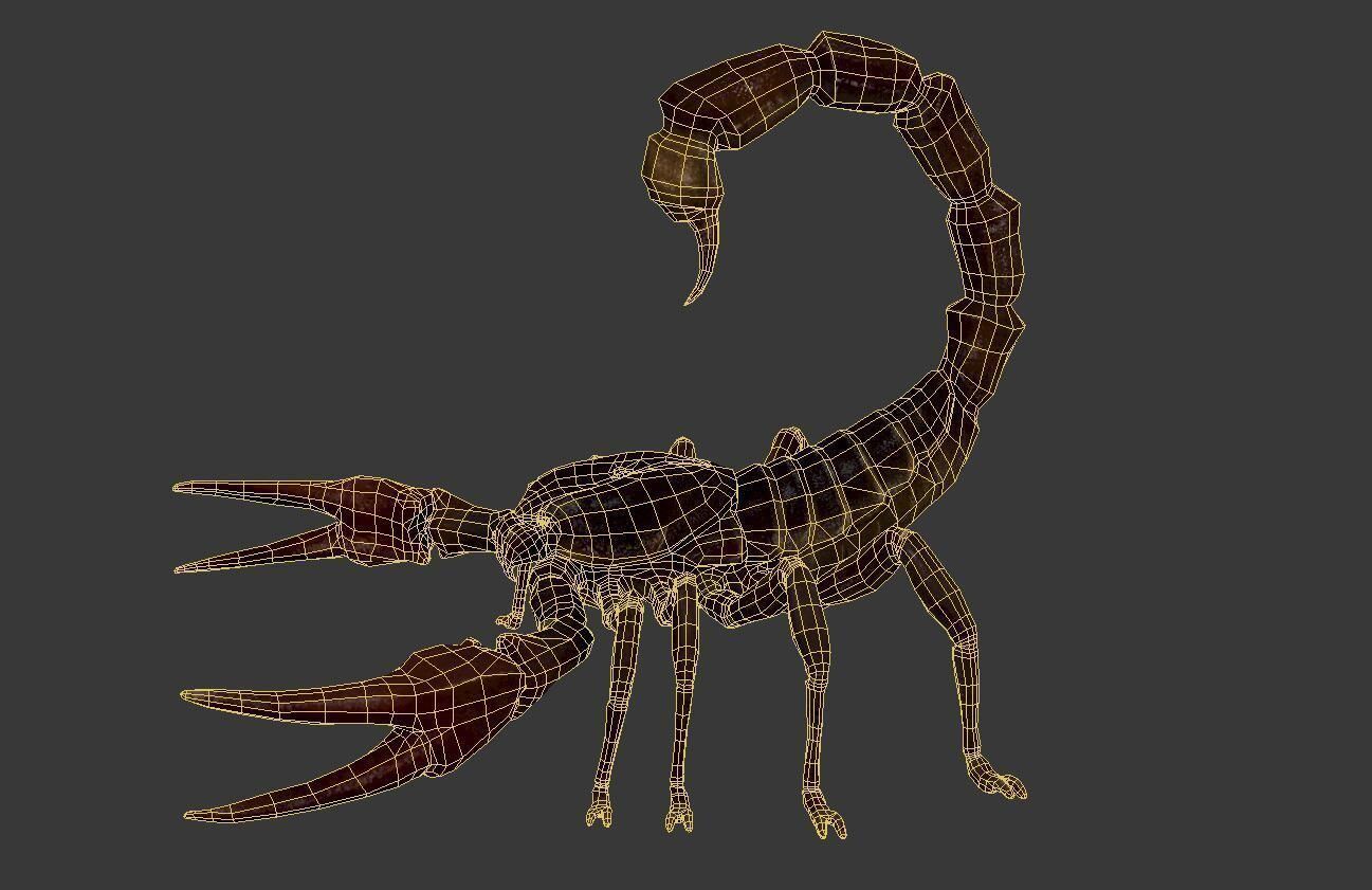 Scorpion Low-poly 3D model_6