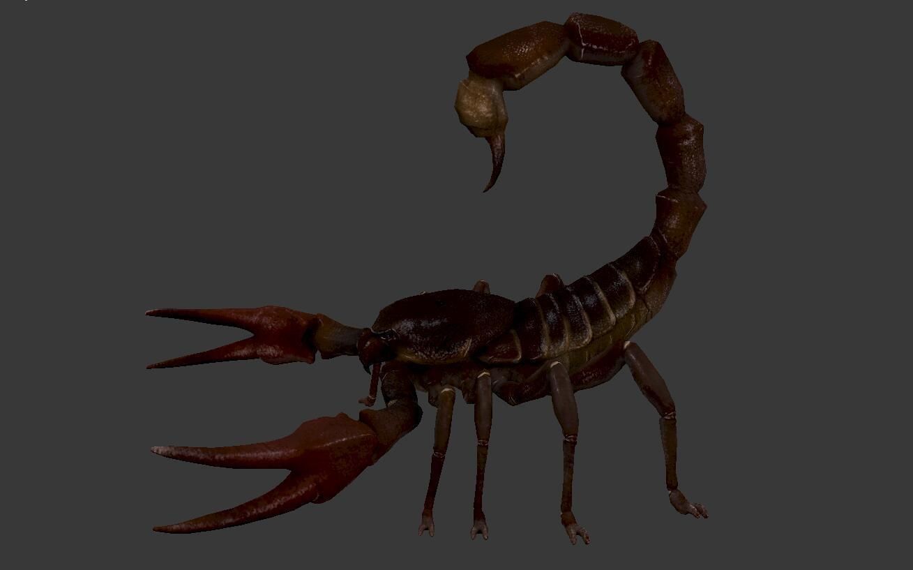 Scorpion Low-poly 3D model_1
