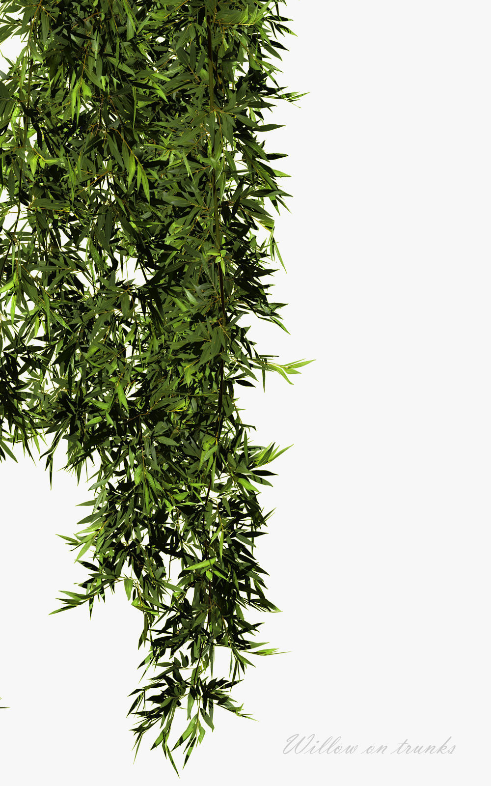 Willow on trunks 3D model_8