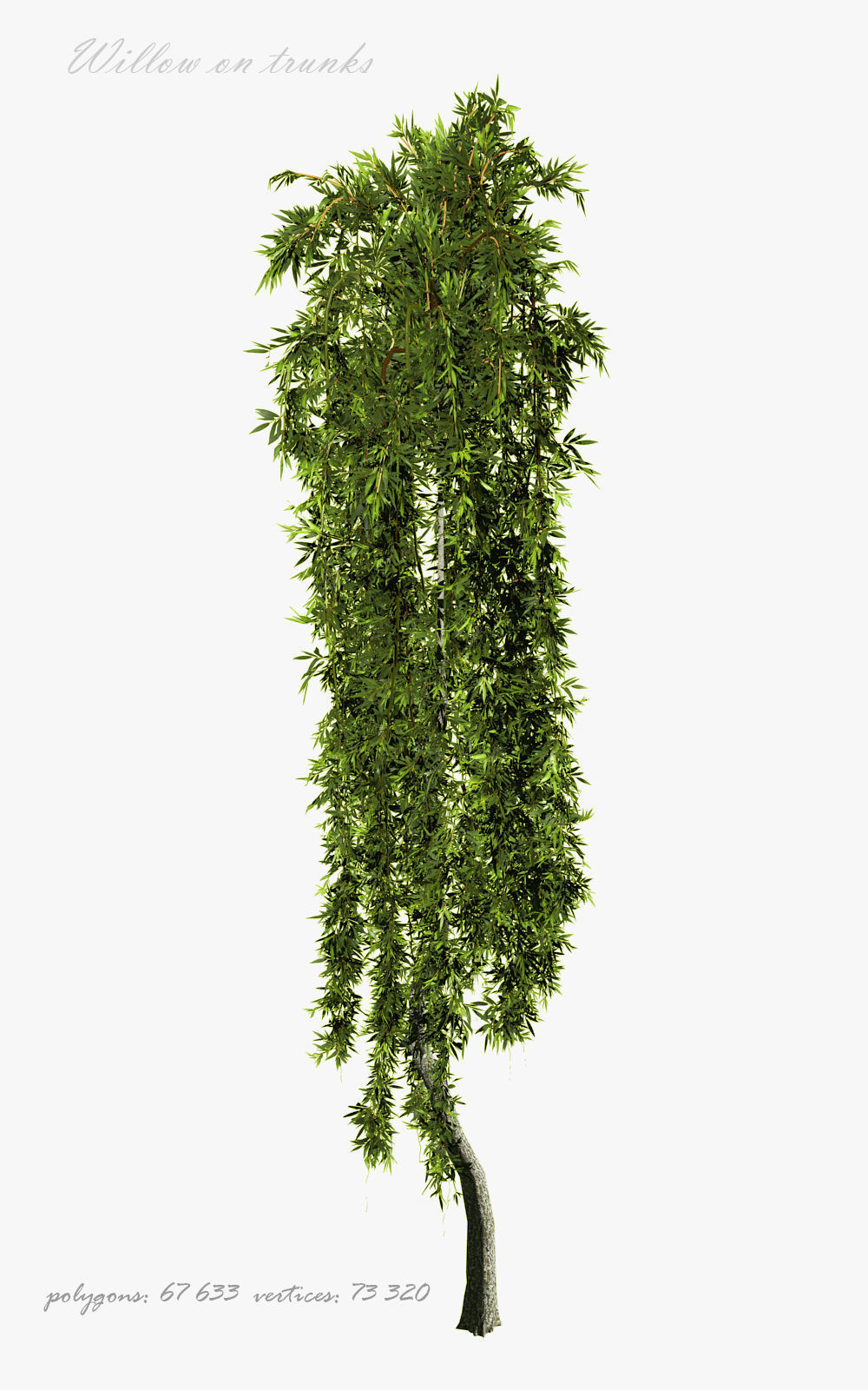 Willow on trunks 3D model_4