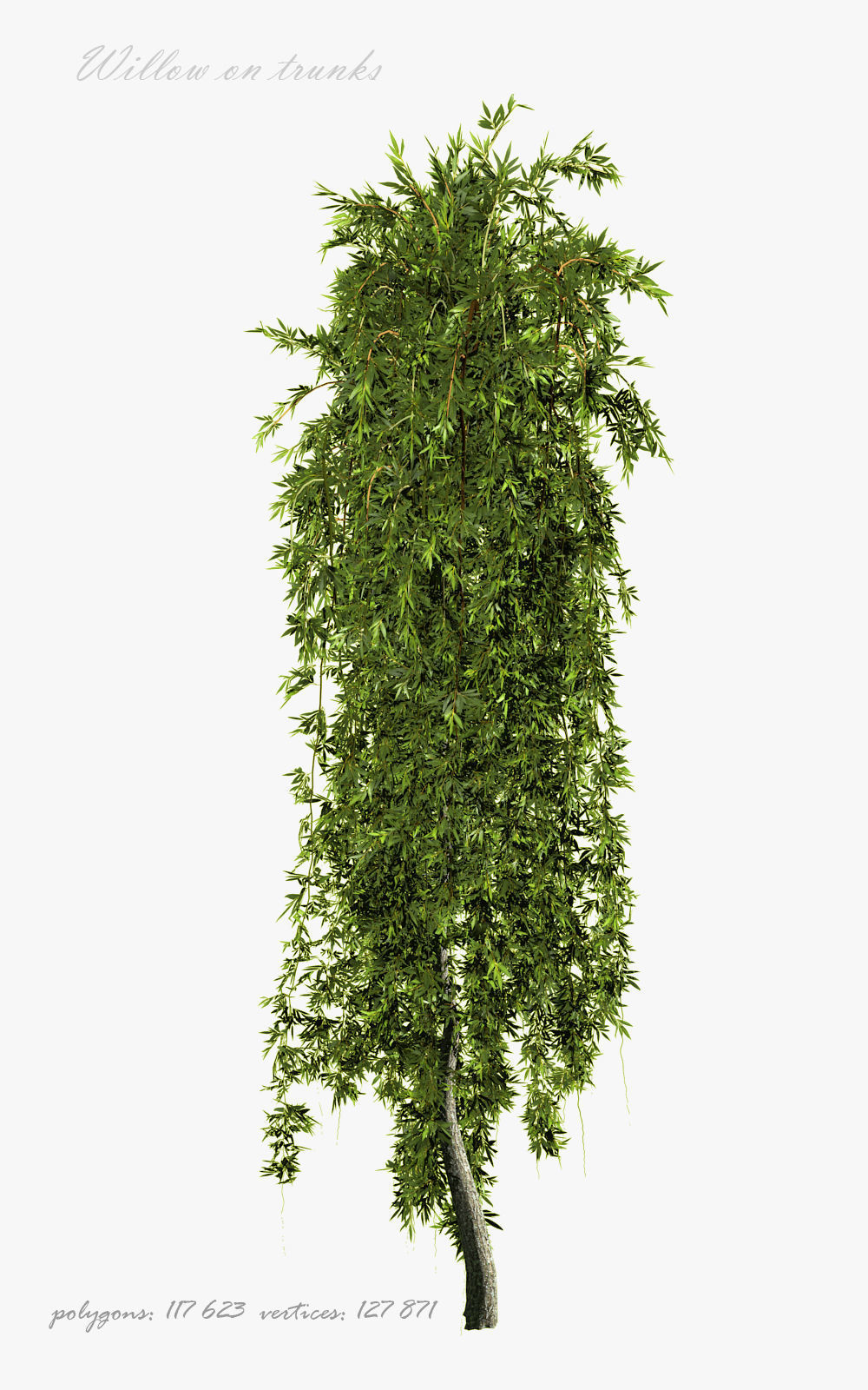 Willow on trunks 3D model_6