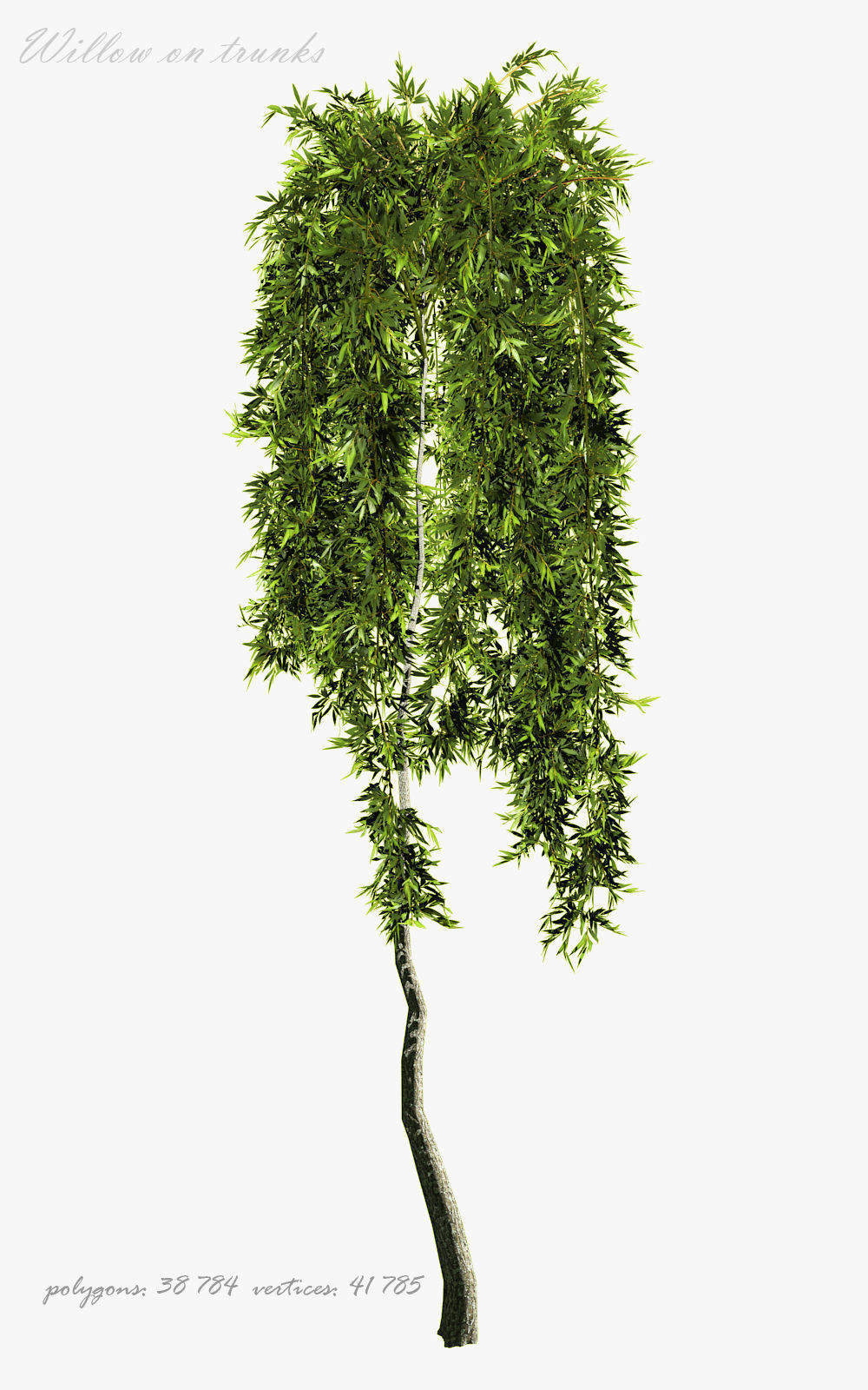 Willow on trunks 3D model_1