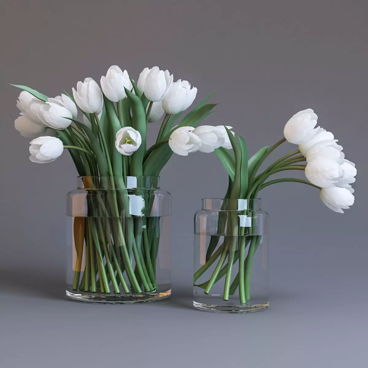 White tulips 3D model_0