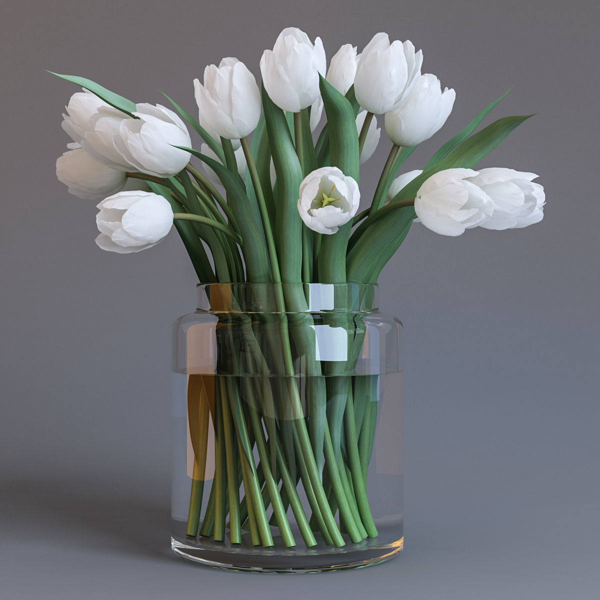 White tulips 3D model_2