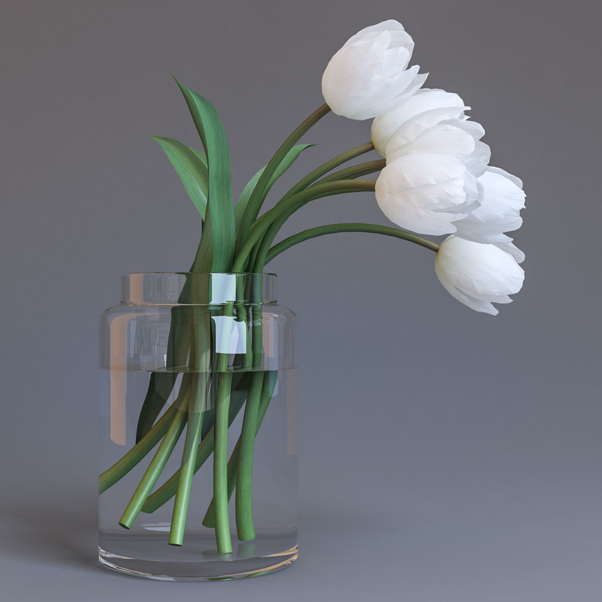 White tulips 3D model_3