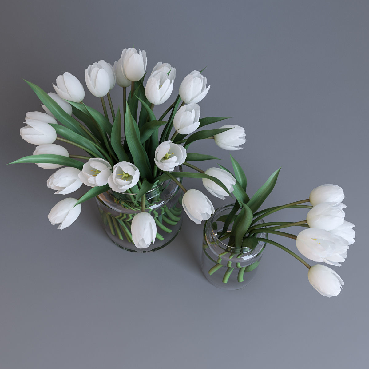 White tulips 3D model_1