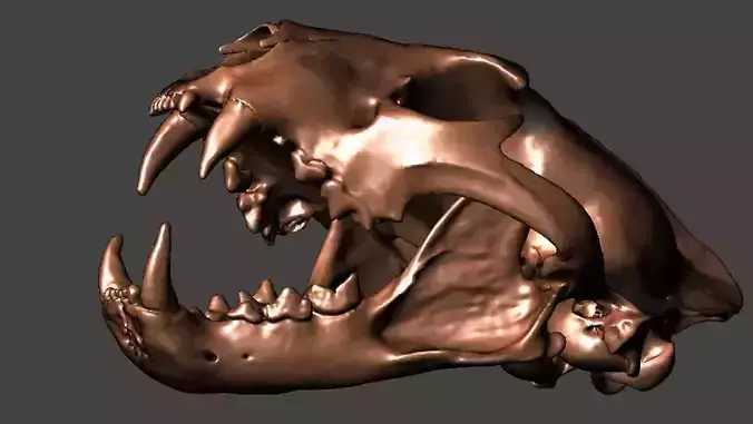 Leopard Skull - STL from high res CT 3D print model