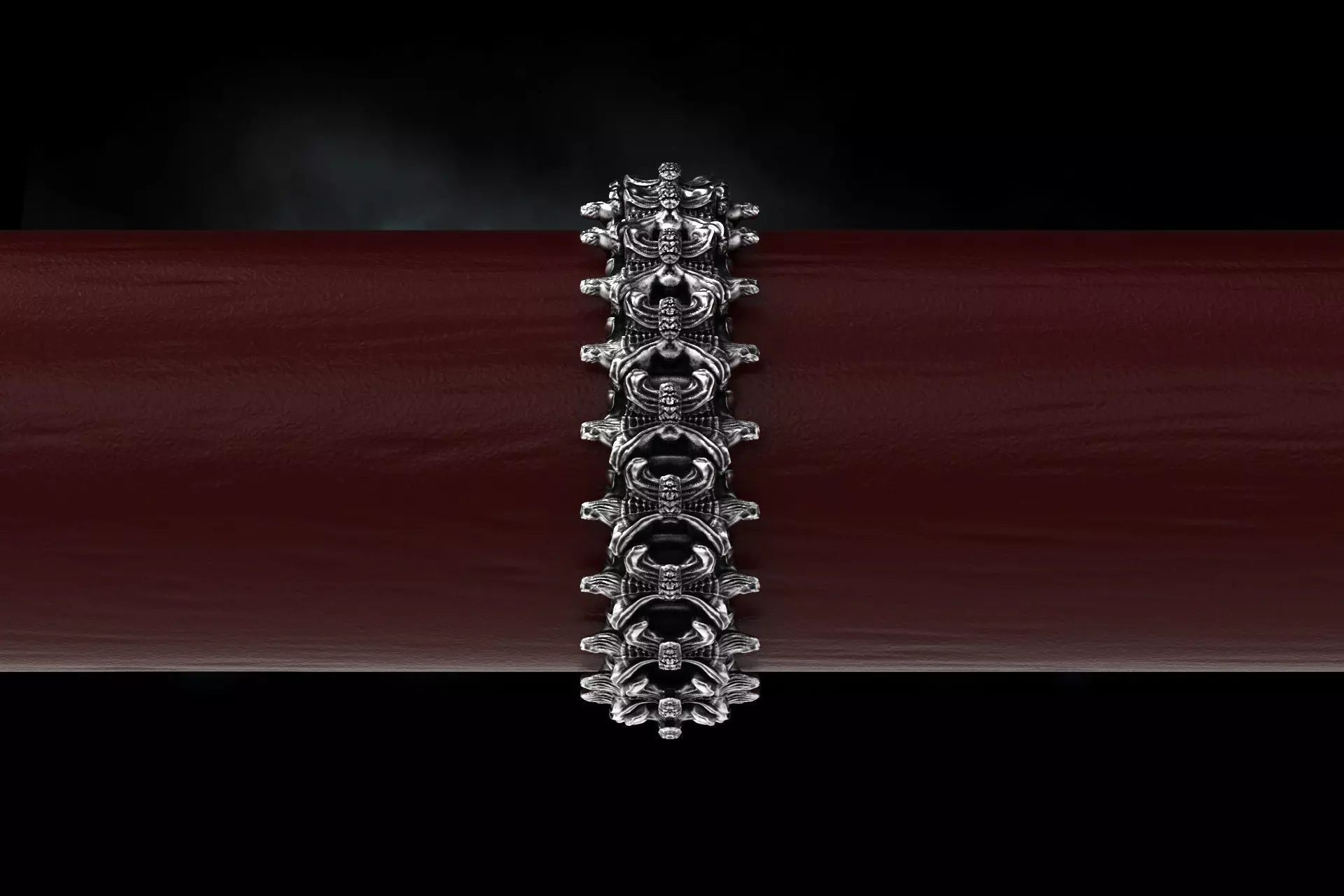 Biomechanical Ring - Spine  3d model for 3d printing 3D print model_0
