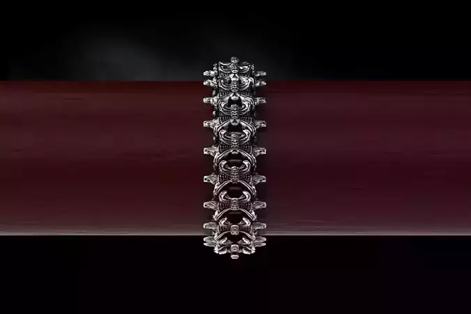 Biomechanical Ring - Spine  3d model for 3d printing 3D print model