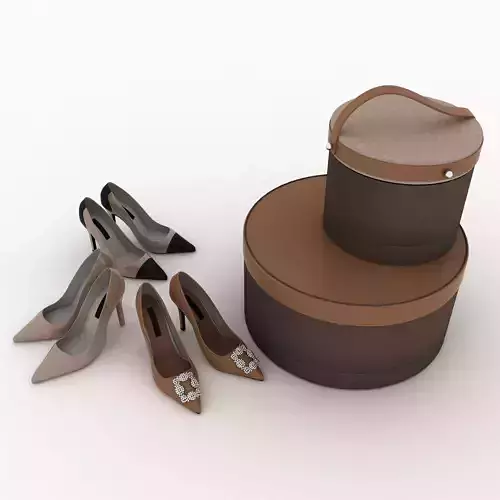 Shoes and Boxes 3D model