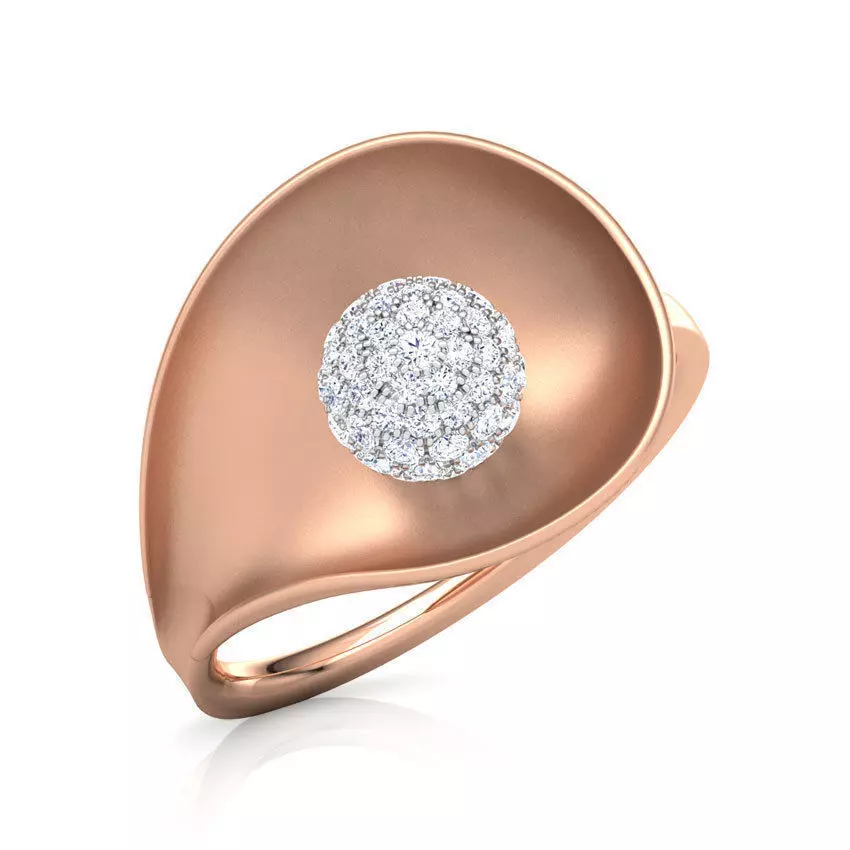 Incurvate Orb Ring 3D print model_0