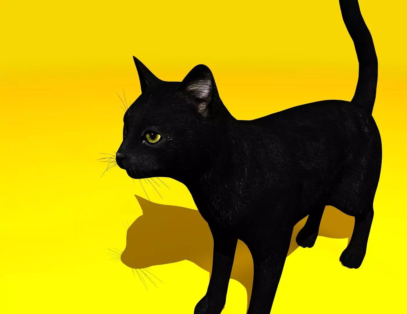 Cat Rigged and GIFT Low-poly 3D model_0