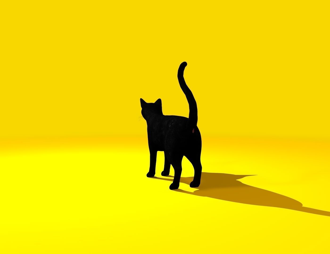 Cat Rigged and GIFT Low-poly 3D model_12