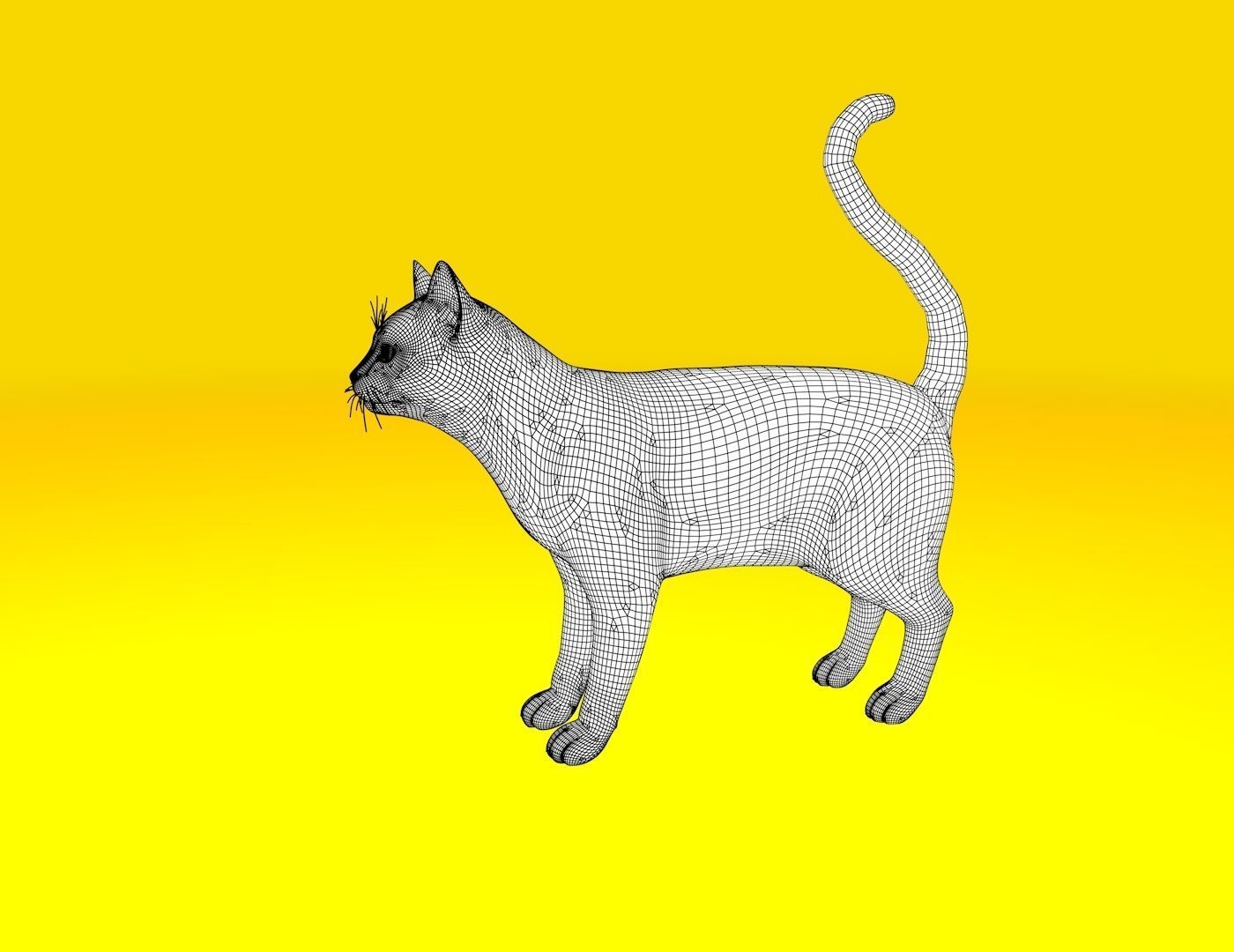 Cat Rigged and GIFT Low-poly 3D model_6